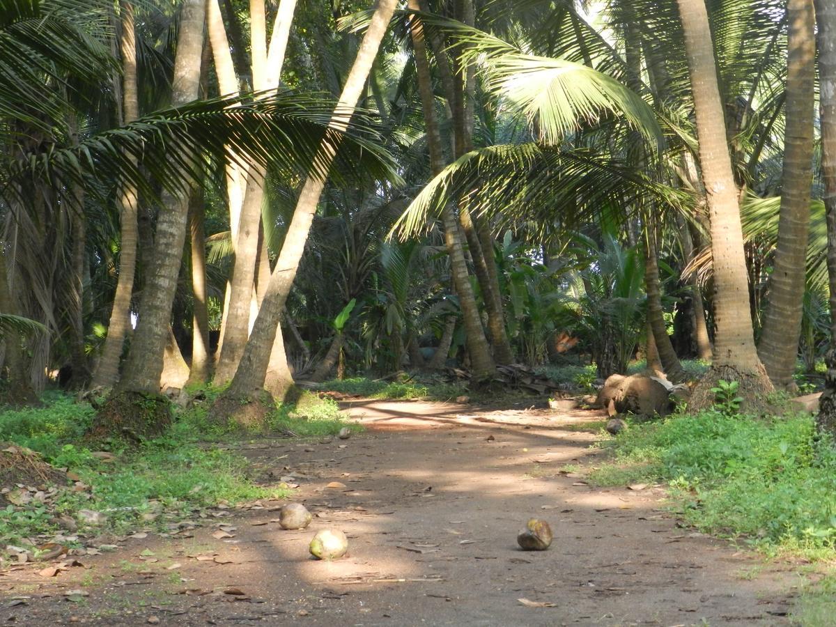 Bangli, The Finest Konkan Living Otel Dāpoli Dış mekan fotoğraf
