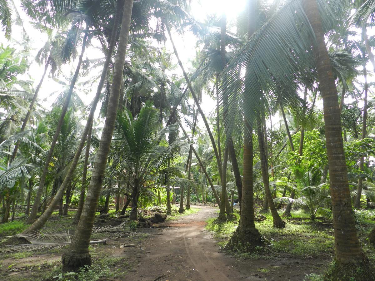 Bangli, The Finest Konkan Living Otel Dāpoli Dış mekan fotoğraf